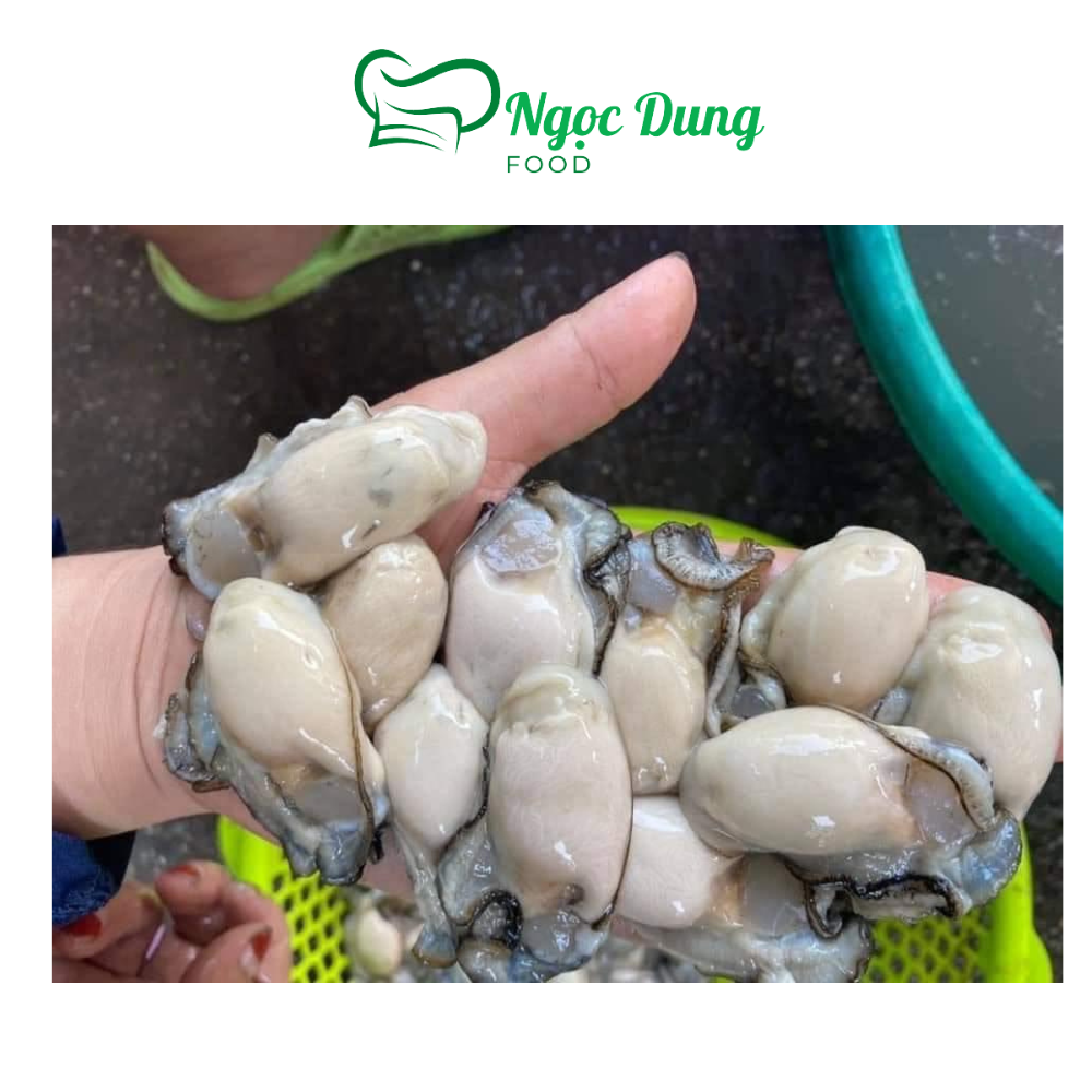 Hào sữa tách vỏ 500g luôn nước (giao tphcm) đặt hoả tốc
