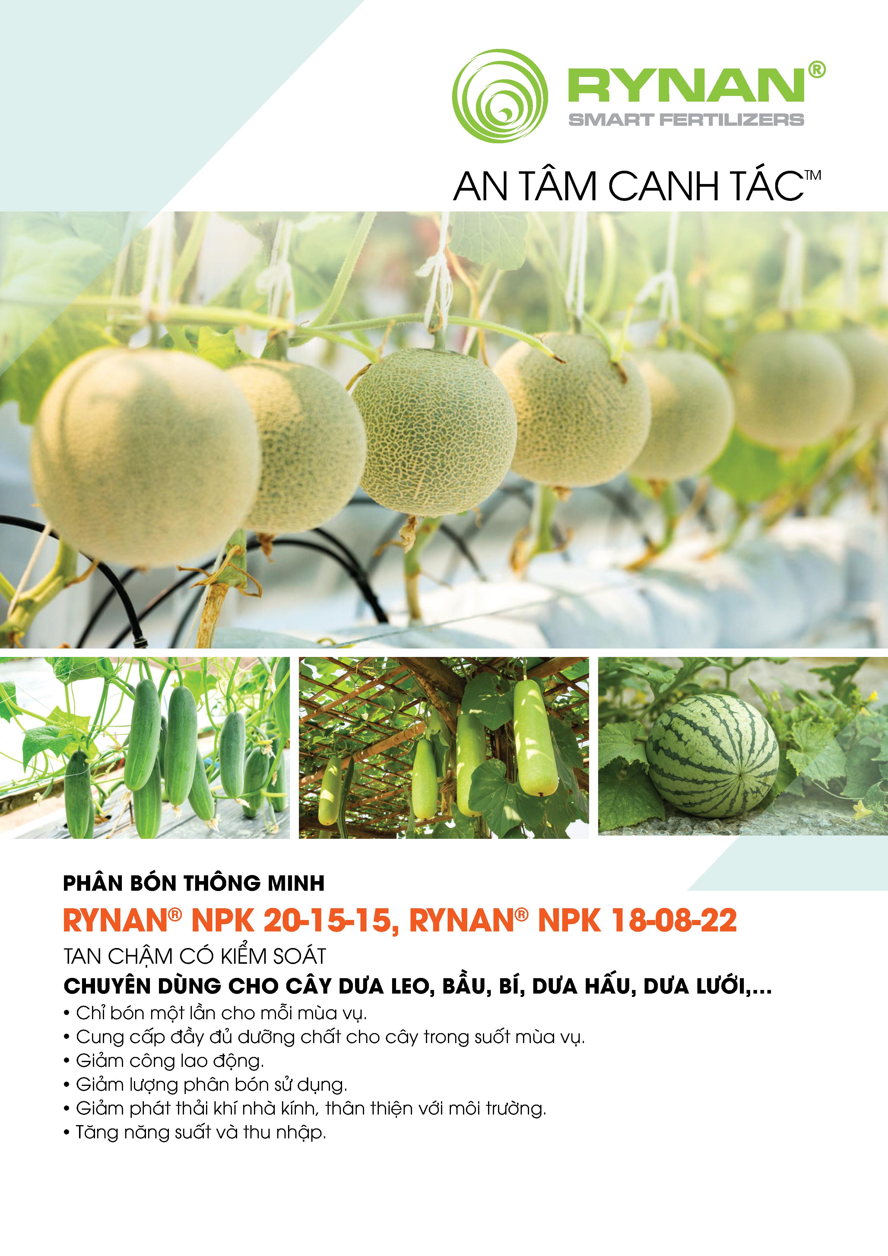 Classification Smart Tan Slow (Sacks 5kg) passed They cucumber, gourds, Bitter Melon, .. (NEW)