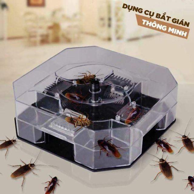 [HCM]dụng cụ bắt gián