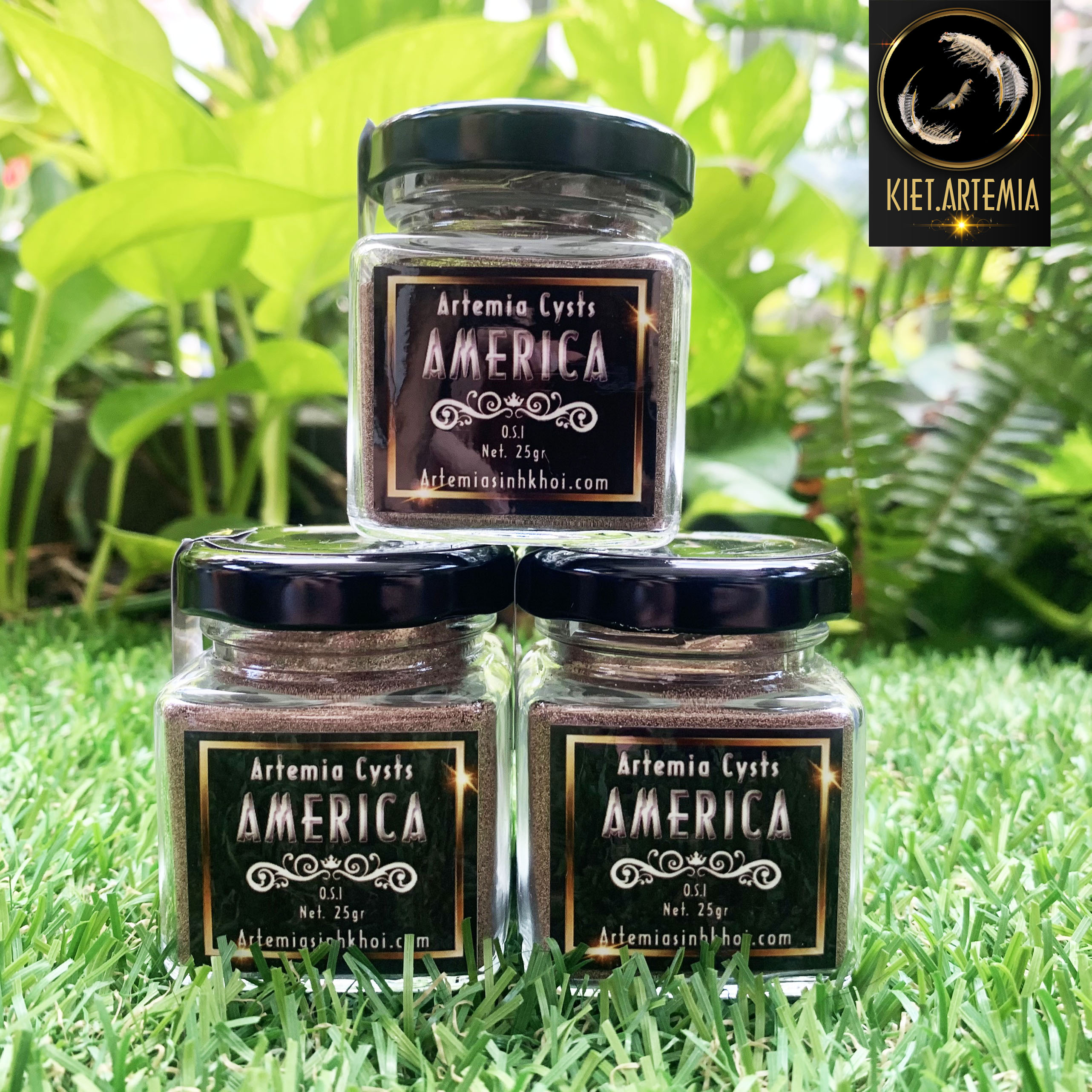 Artemia Mỹ Chất Lượng Quốc Tế