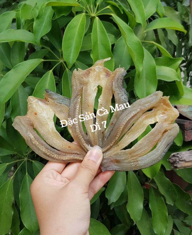 [500Gram] Khô cá lóc non phơi khô không dẻo, món ngon hao cơm