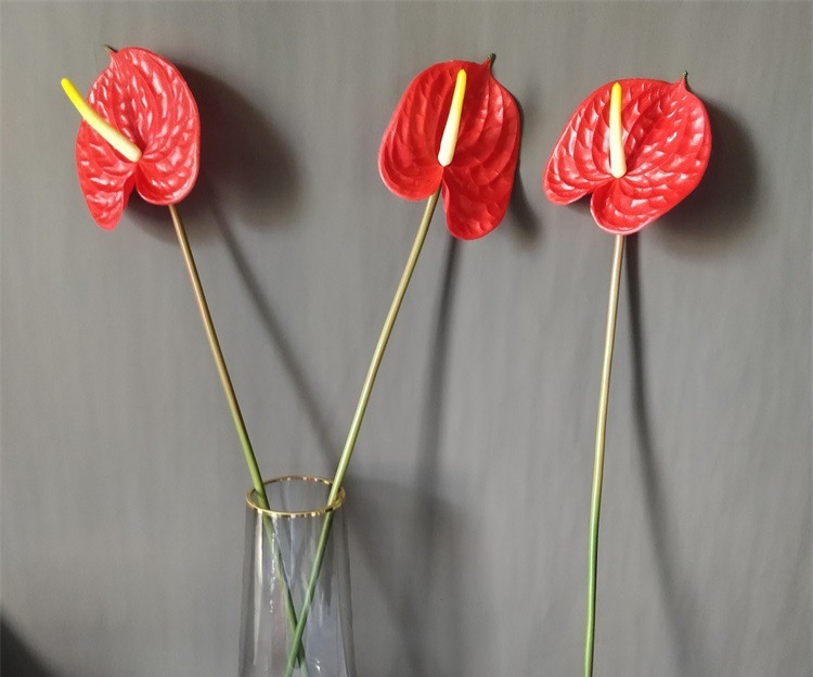 ( Hoa giả) Combo 10 cành hoa hồng môn đỏ, hồng môn trang trí
