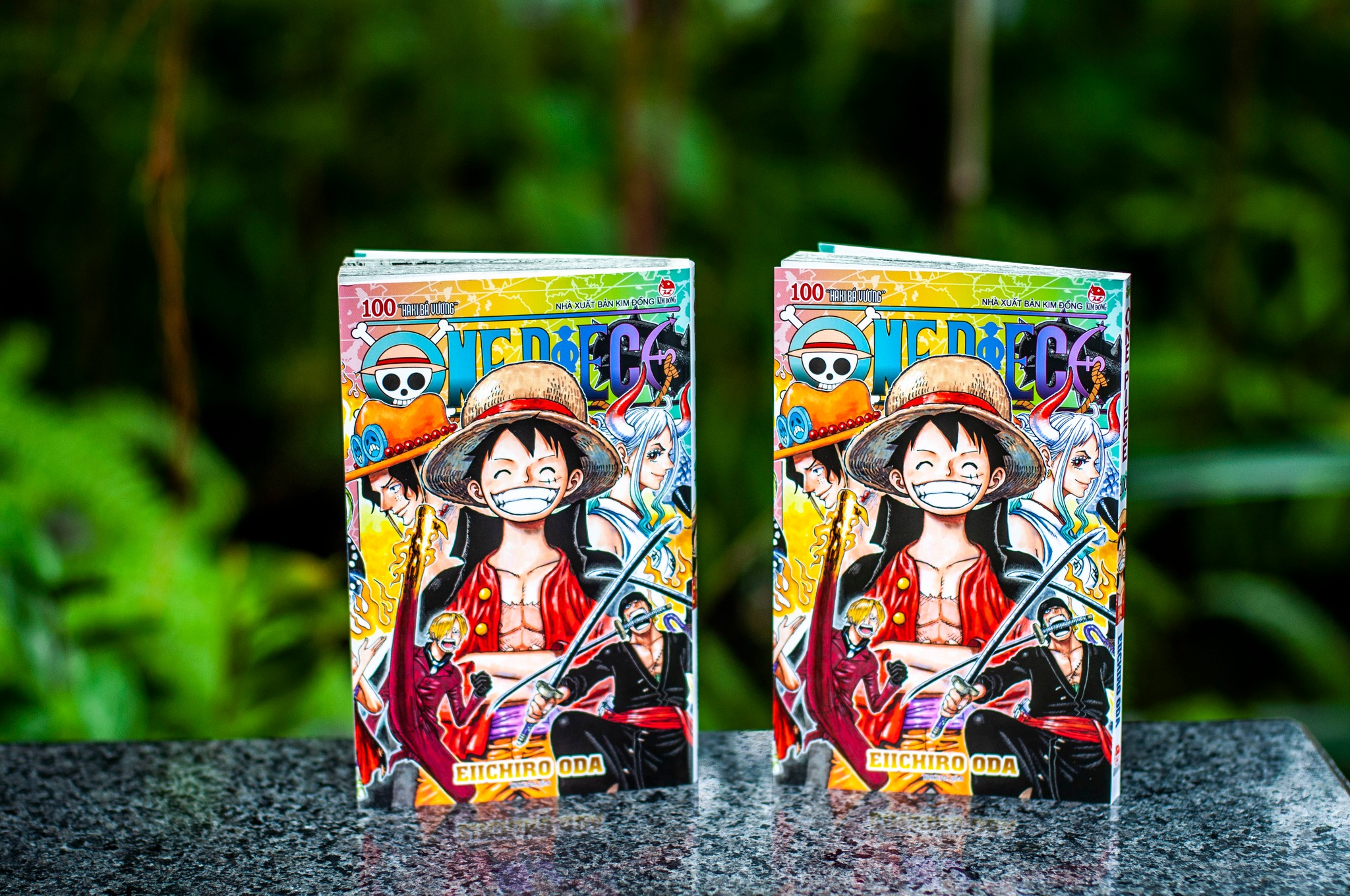 One Piece - Tập 100 : Haki Bá vương+ 101
