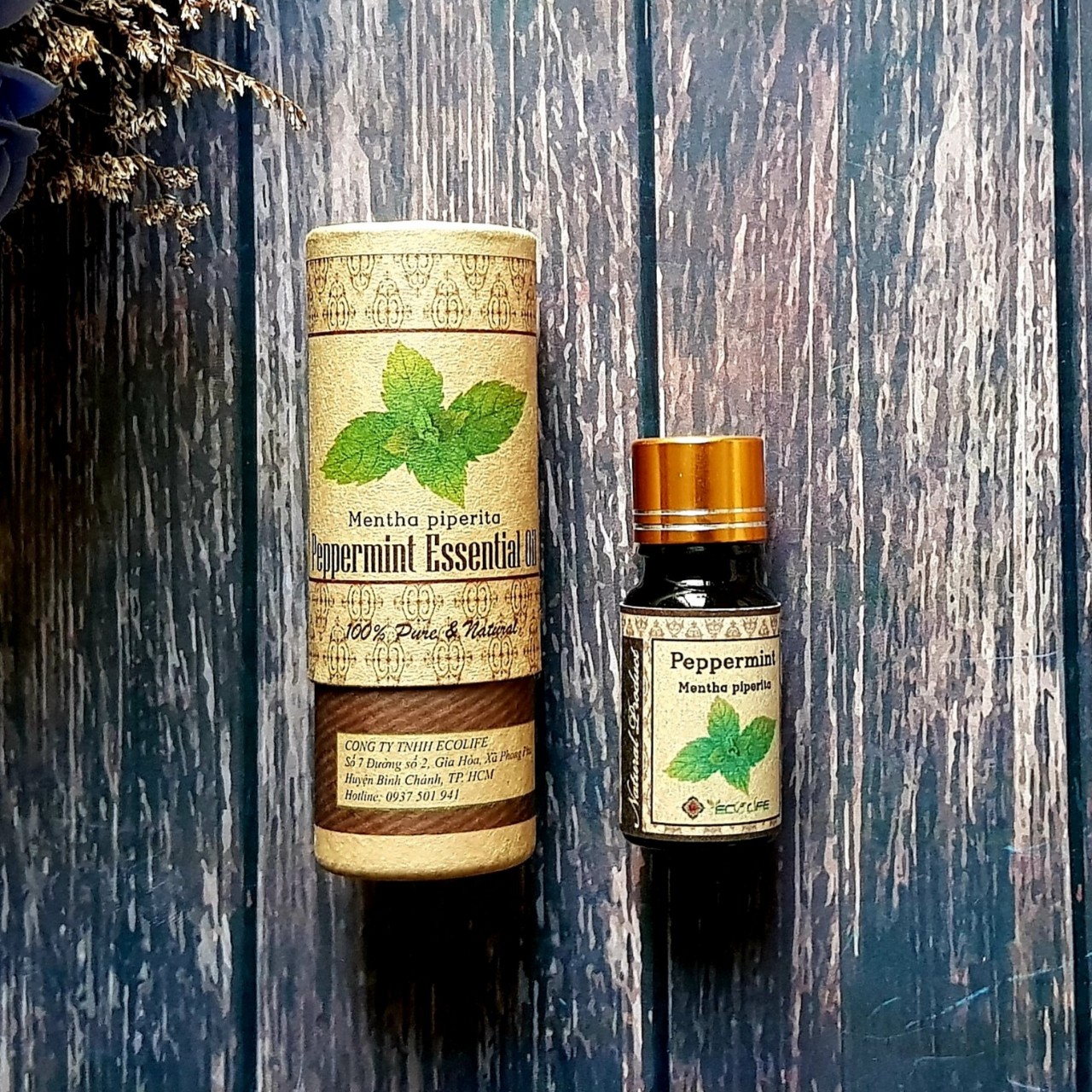 Tinh dầu đuổi chuột lá bạc hà Ecolife