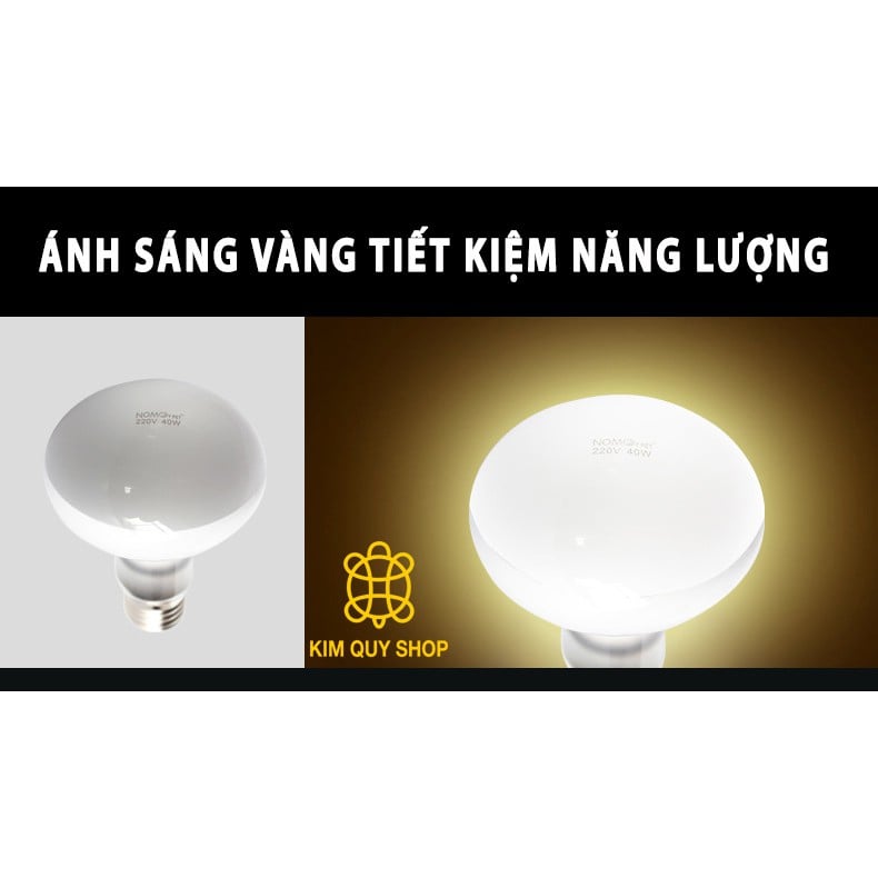 Đèn uva sưởi ngày cho bò sát