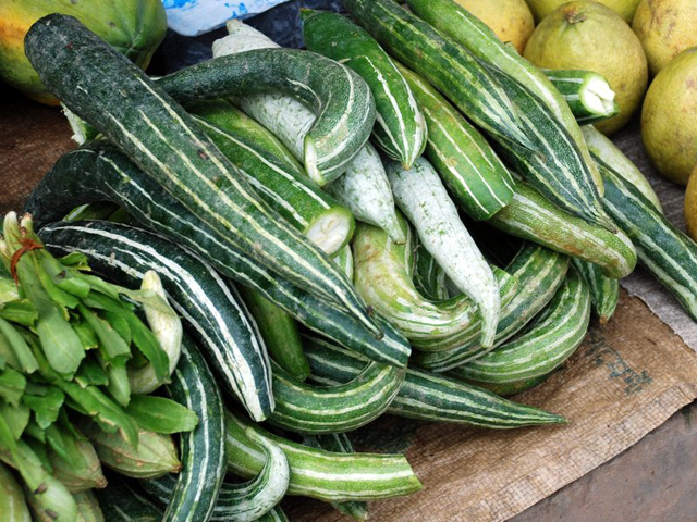 hạt giống quả lặc lè ( mướp mèo - quả lặc lè)