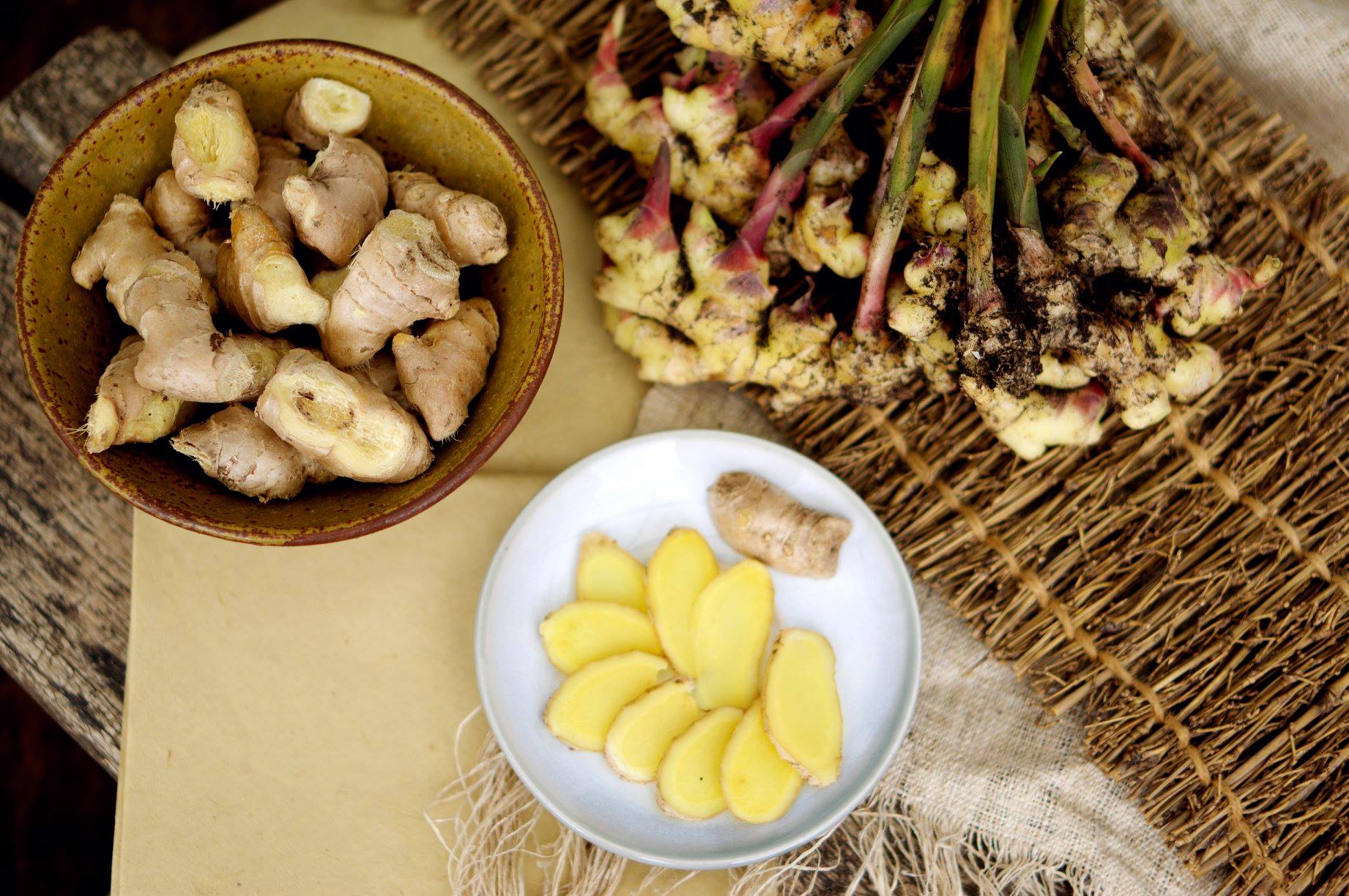 XÀ BÔNG GỪNG [STORY OF THE FOREST]