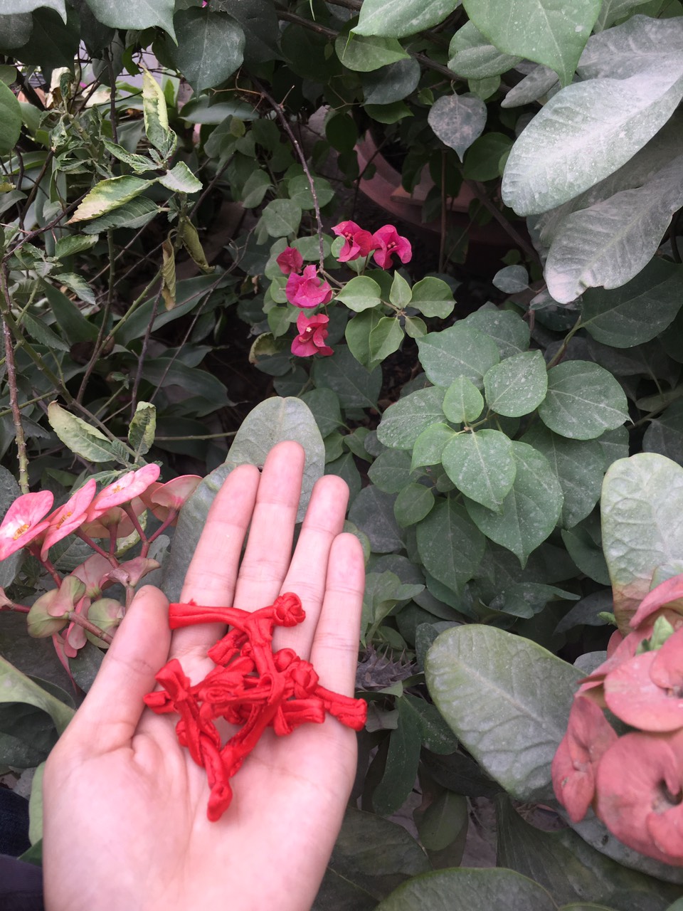 Bộ 5 nút tàu cây thanh ngang