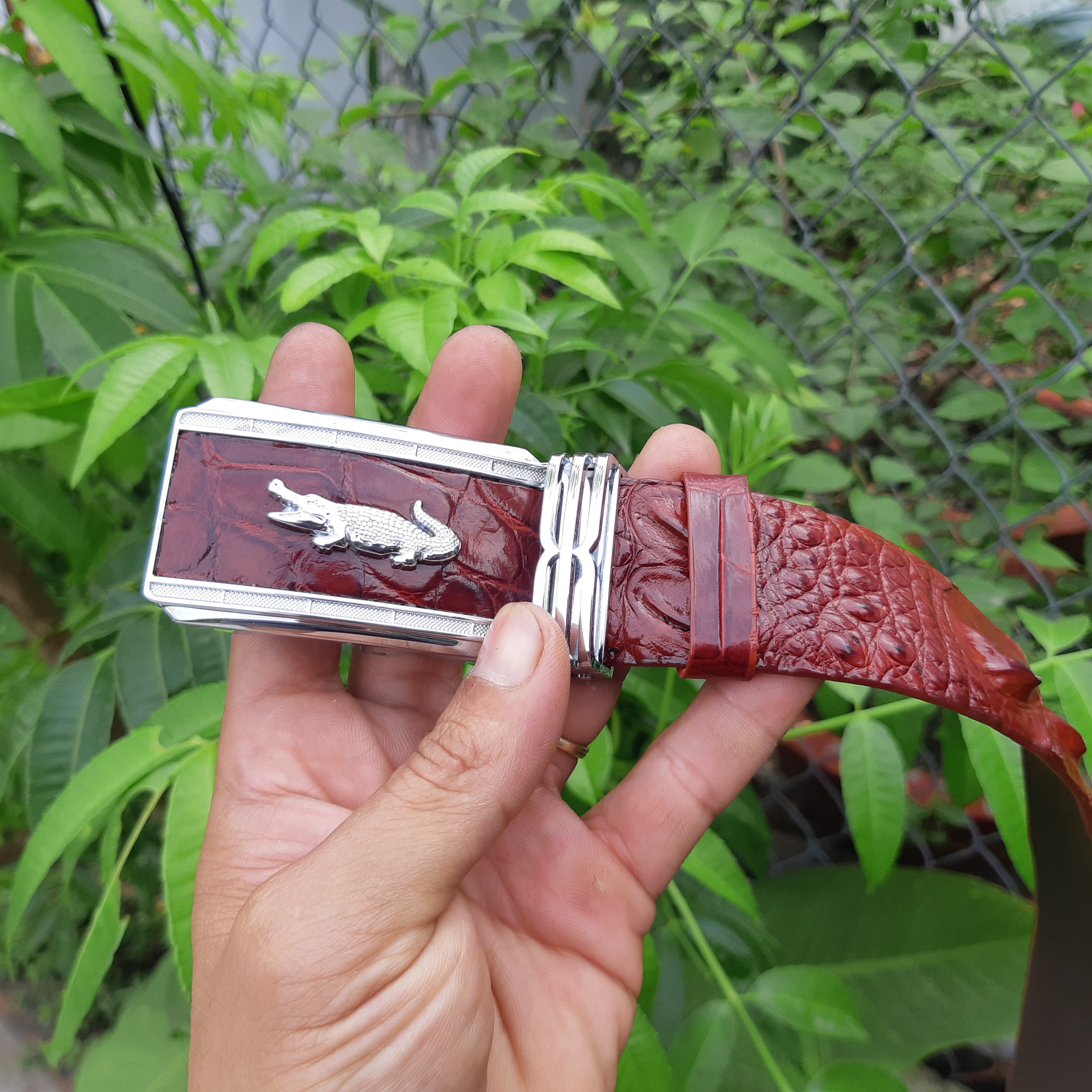 Thắc Lưng Da Cá Sấu [ Dây Nịt Da Cá Sấu ] Màu Nâu Đỏ Cao Câp