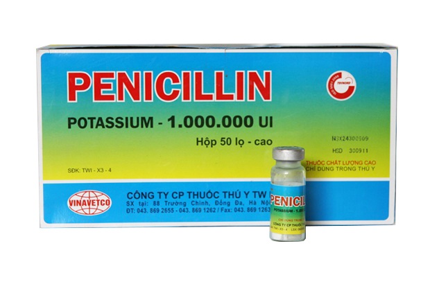 Thuốc thú y TW1 PENICILLIN
