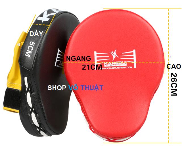 Đích đấm loại cao cấp ( 2 chiếc )