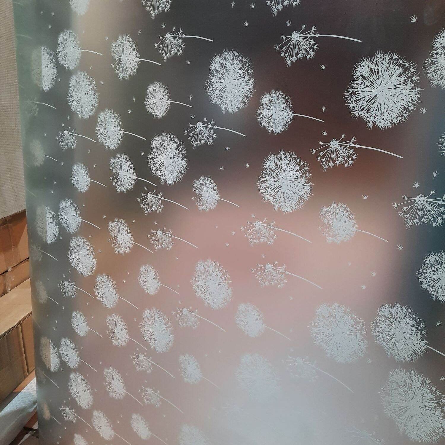 Giấy Dán Kính, Decal Dán Kính Mờ