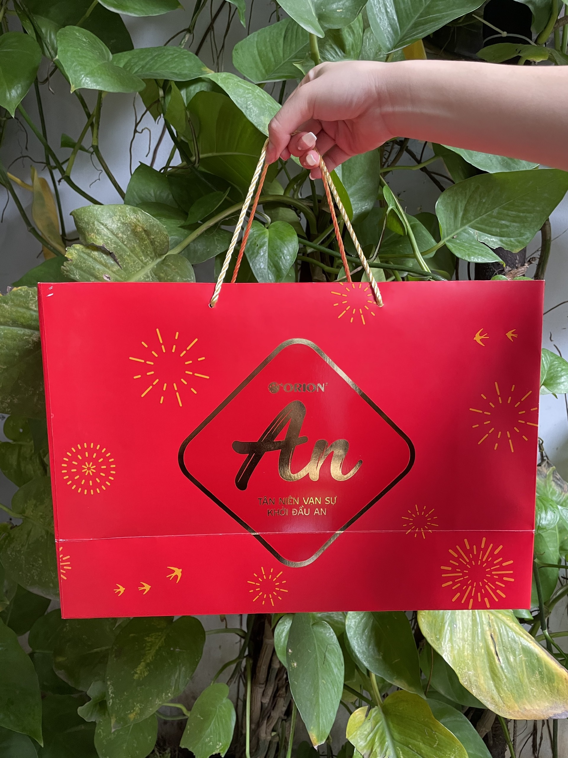 Bộ Quà Tết Orion - Bình An I (Hộp 693.7g)