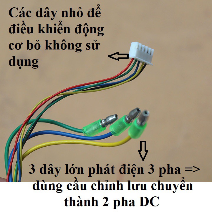 Động cơ phát điện 36v-300w, 60v-600w