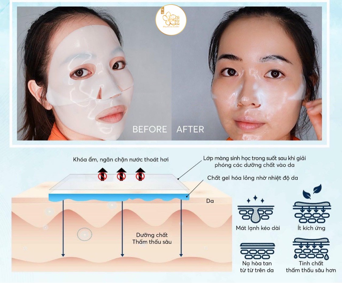 MẶT NẠ THẠCH COLLAGEN MELTING 1HỘP 3TÚI