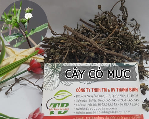 [FreeshipMAX]  Cây Cỏ Mực Khô 500G - Đông Y Thanh Bình