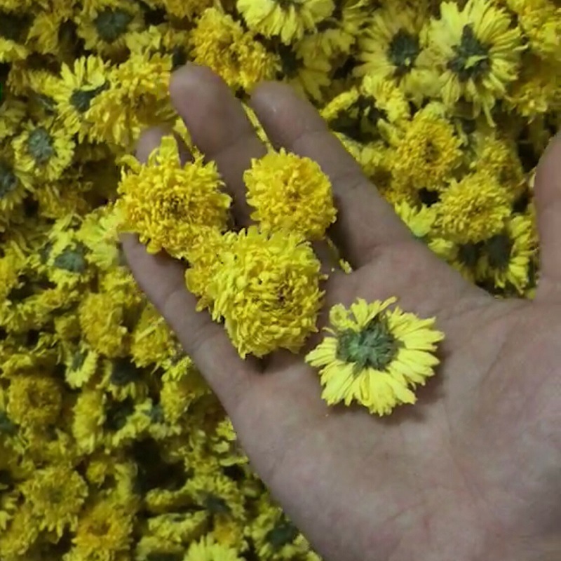 Trà Hoa Cúc Hàm Hương 50g ( cúc núi)