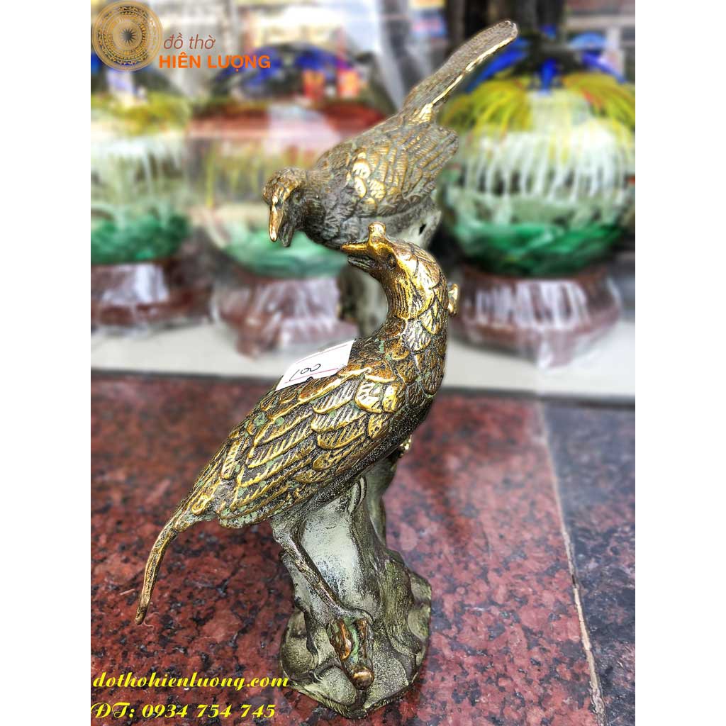 2-size copper seagrass birds