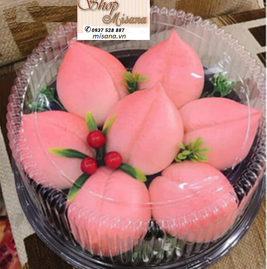 Bộ 20 hộp nhựa tròn đựng bánh 20cm A024 dùng đựng bánh bông lan, rau cau, thực phẩm các loại