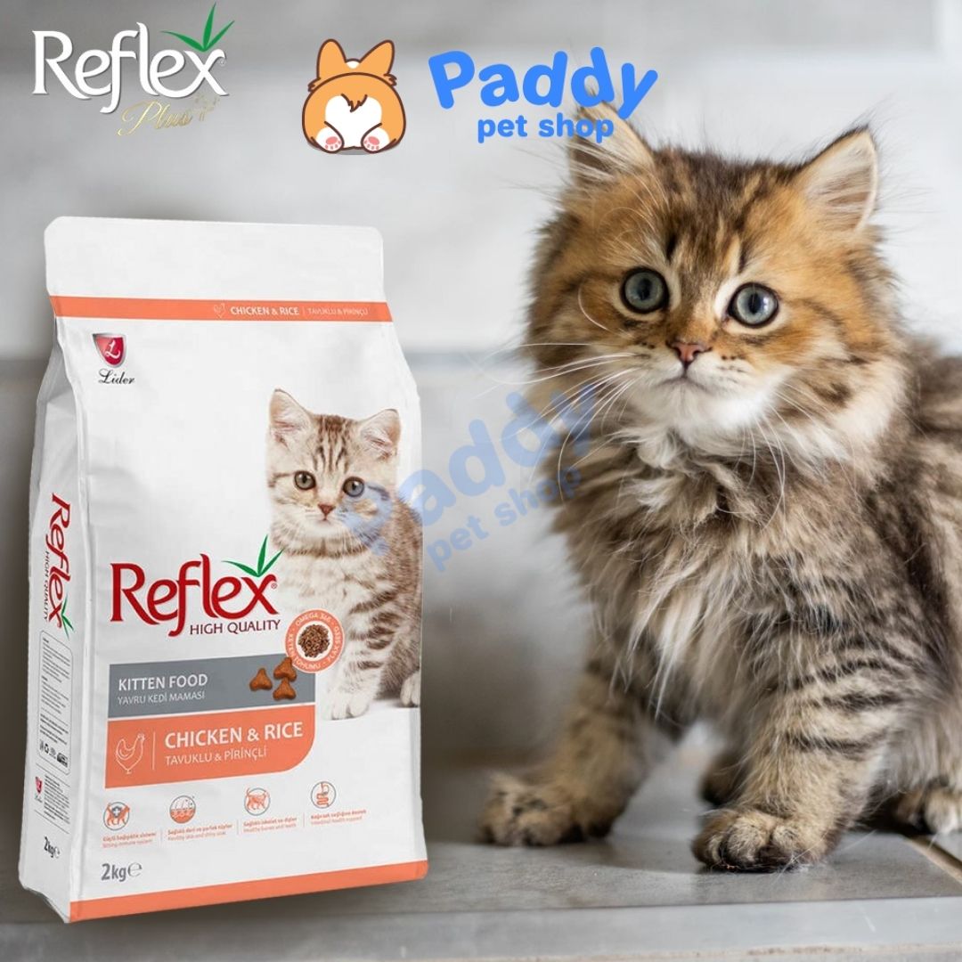 Hạt Reflex Kitten Loại Thường 2kg