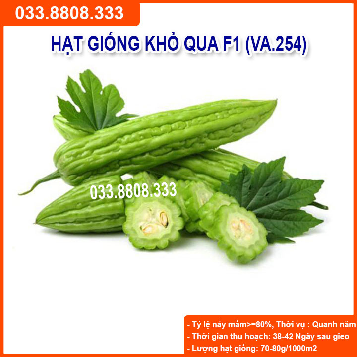 HẠT GIỐNG QUẢ KHỔ QUA ( MƯỚP ĐẮNG ) NHANH RA QUẢ