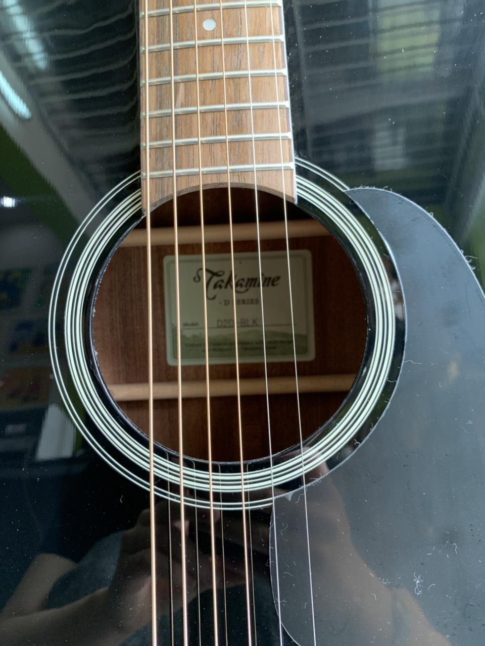 Đàn guitar Takamine D2D