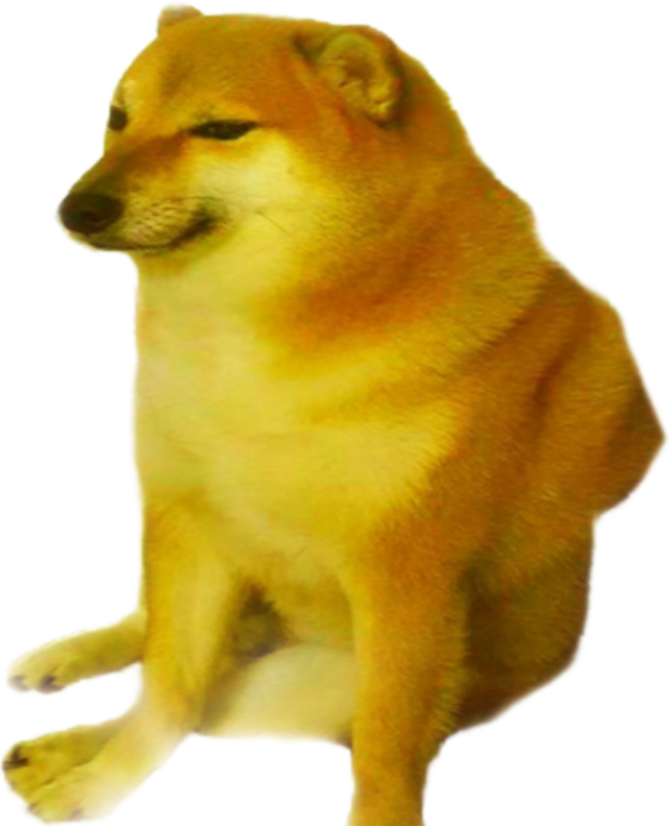 STICKER hình dán MEME CHEEMS, dán xe, dán laptop