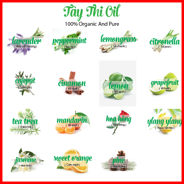 [HCM]Tinh Dầu Tràm Trà Tea Tree