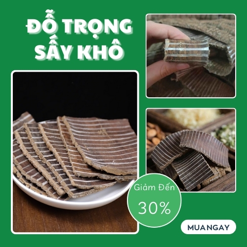 Đỗ trọng khô túi lớn 1kg, Đỗ trọng bắc khô - Hỗ trợ cải thiện tinh thần suy kiệt, sức khỏe kém - Hàng loại 1 chất lượng cao - Thảo Dược Tấn Phát