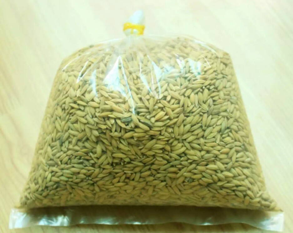 HẠT LÚA CHO CHIM CẢNH, GÀ CẢNH ( 500 Gram)