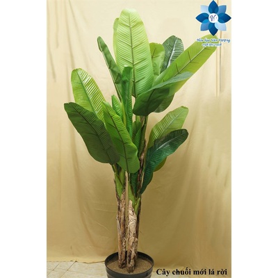 Cây Giả Cây Chuối Quê Giả Cao 1,6M