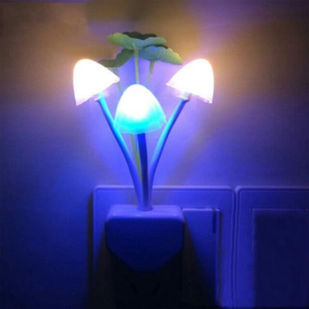 Đèn ngủ nấm cảm ứng tự động tắt mở shopanhthu