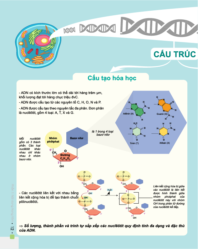 Đột phá 8+ môn Sinh học (Phiên bản mới) - Chính hãng CCbook