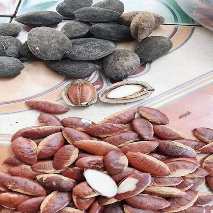 [HCM]500G HẠT KƠ NIA