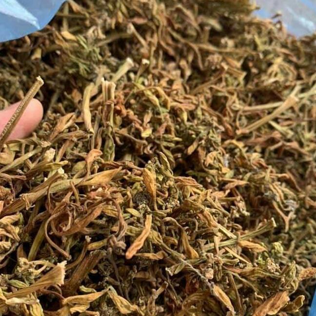 500g hoa đu đủ đực khô