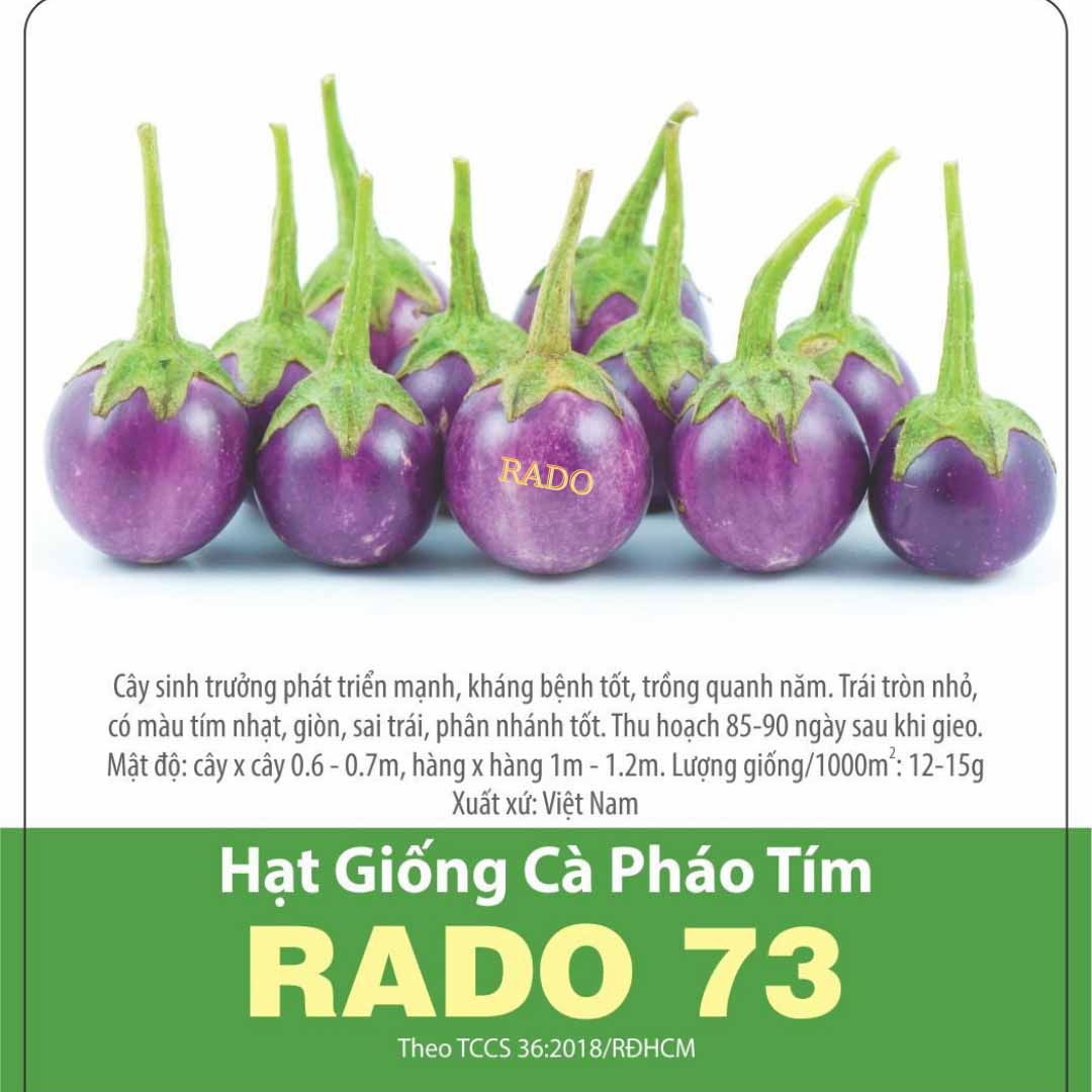 Hạt giống cà pháo tím Rado73, đóng gói 0.5gr