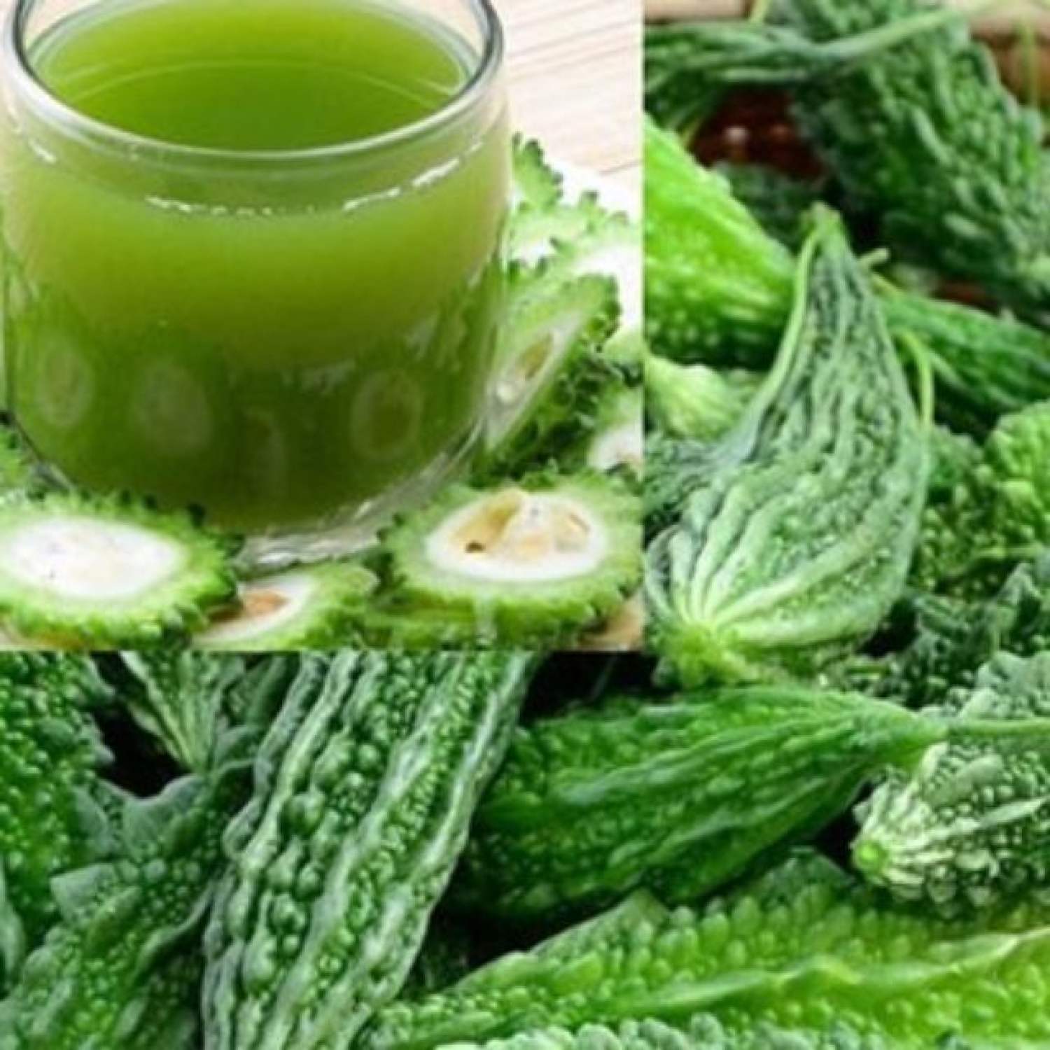 Ma34c gói hạt giông mướp đắng 5 hạt