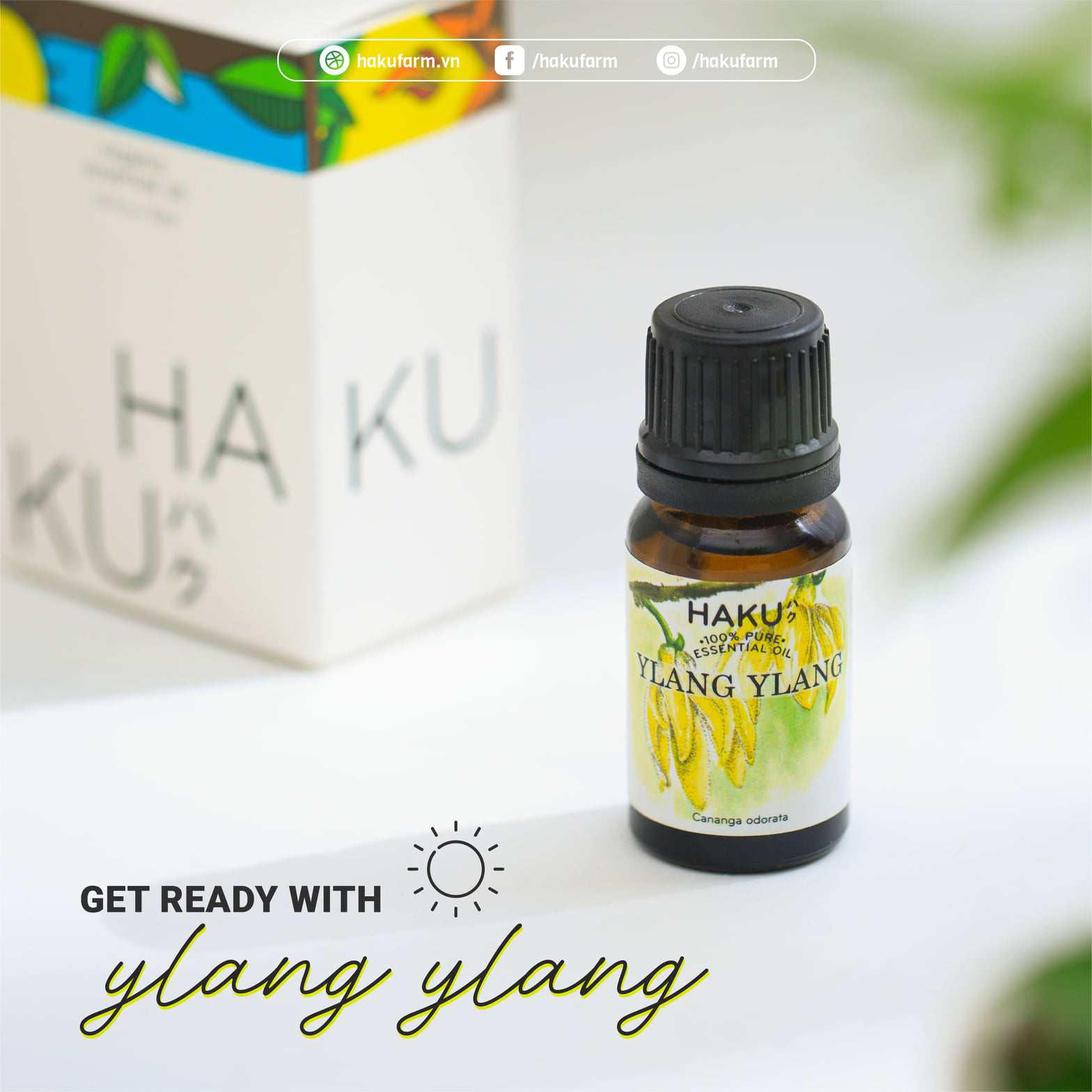 Ylang Ylang Essential Oil