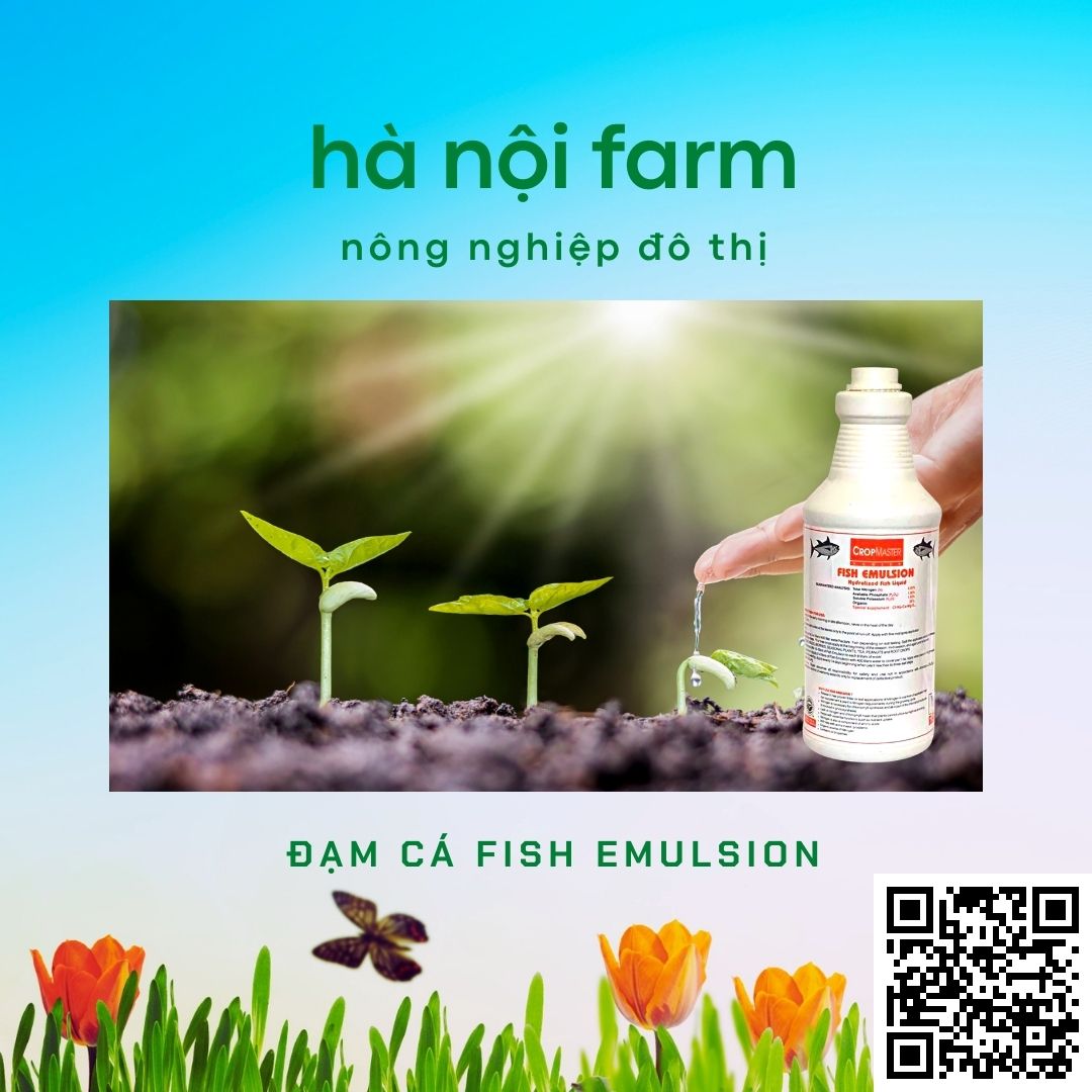 Phân bón hữu cơ fish emulsion - Đạm cá phú hảo chai 250ml
