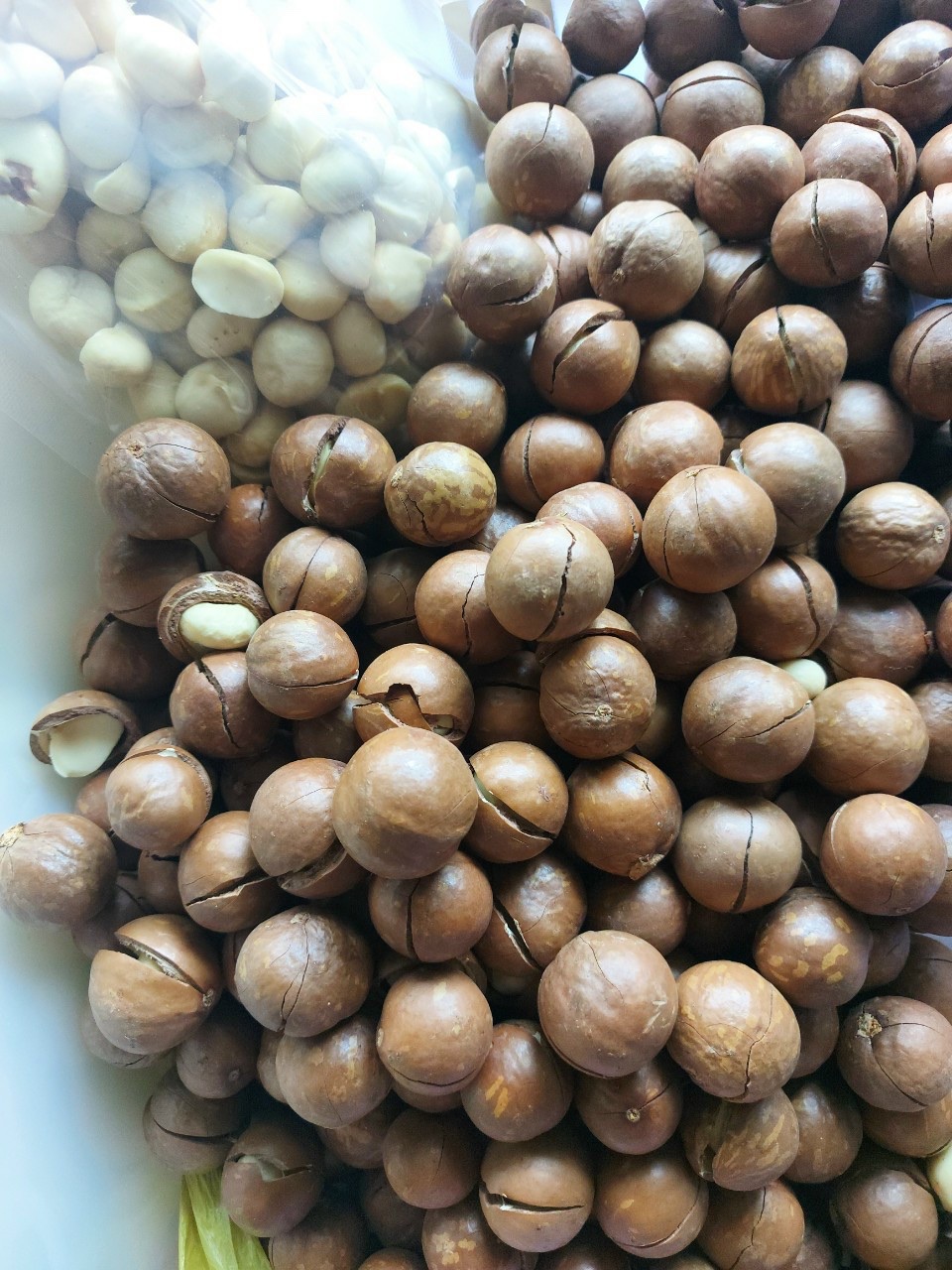 Hạt Macca Lâm Đồng Thái Châu - 500g (mua từ 2 gói)