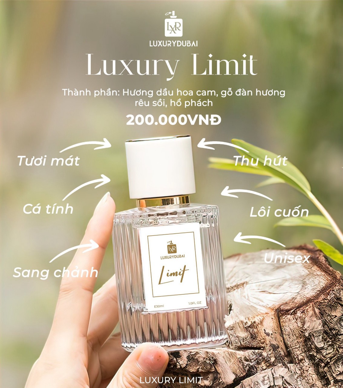 Nước Hoa Luxury Dubai phiên bản mới 2023