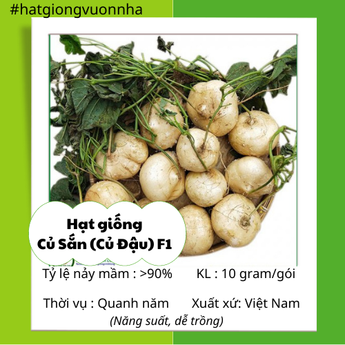 [HCM]Hạt Giống Củ Sắn ( Củ Đậu) Rado - Gói 10 gram (chịu nhiệt dễ trồng)