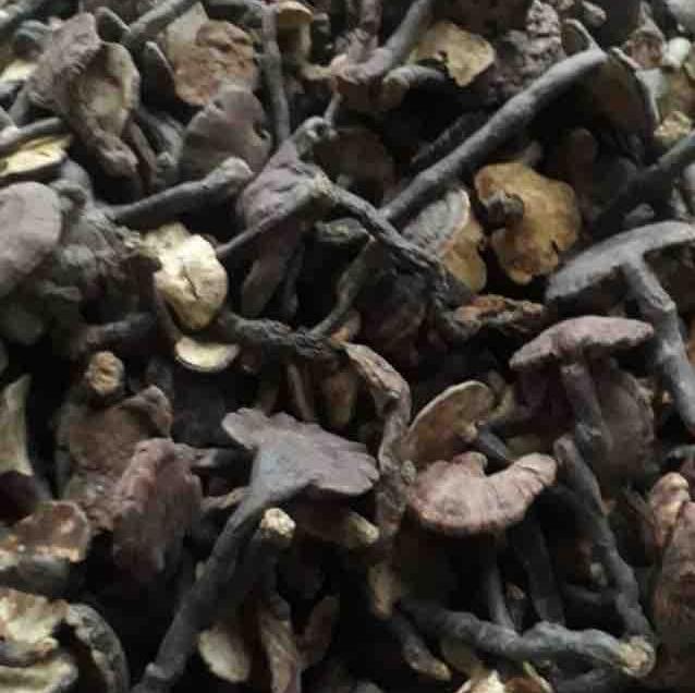 NẤM LIM XANH RỪNG CHUẨN -500g