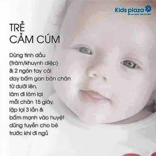 [HCM]TINH DẦU TRÀM HUẾ 100ML