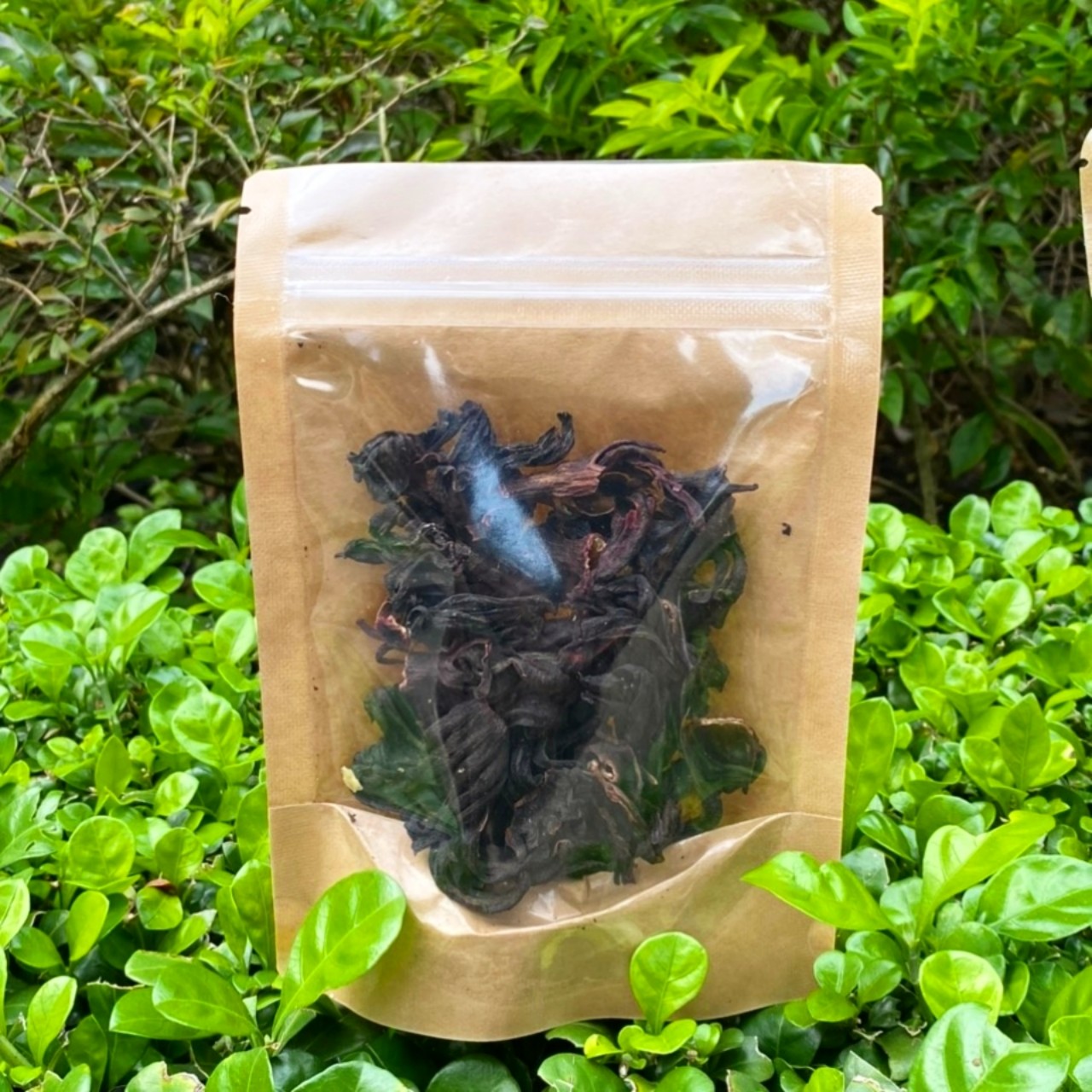 Trà Atiso Đỏ