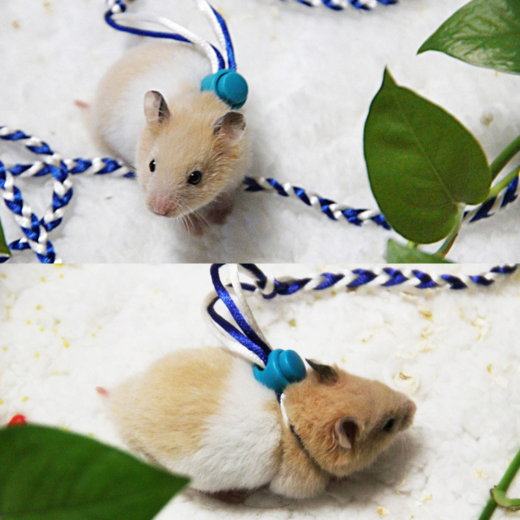 Dây giữ Hamster Bọ Ú Sóc Thú Nhỏ