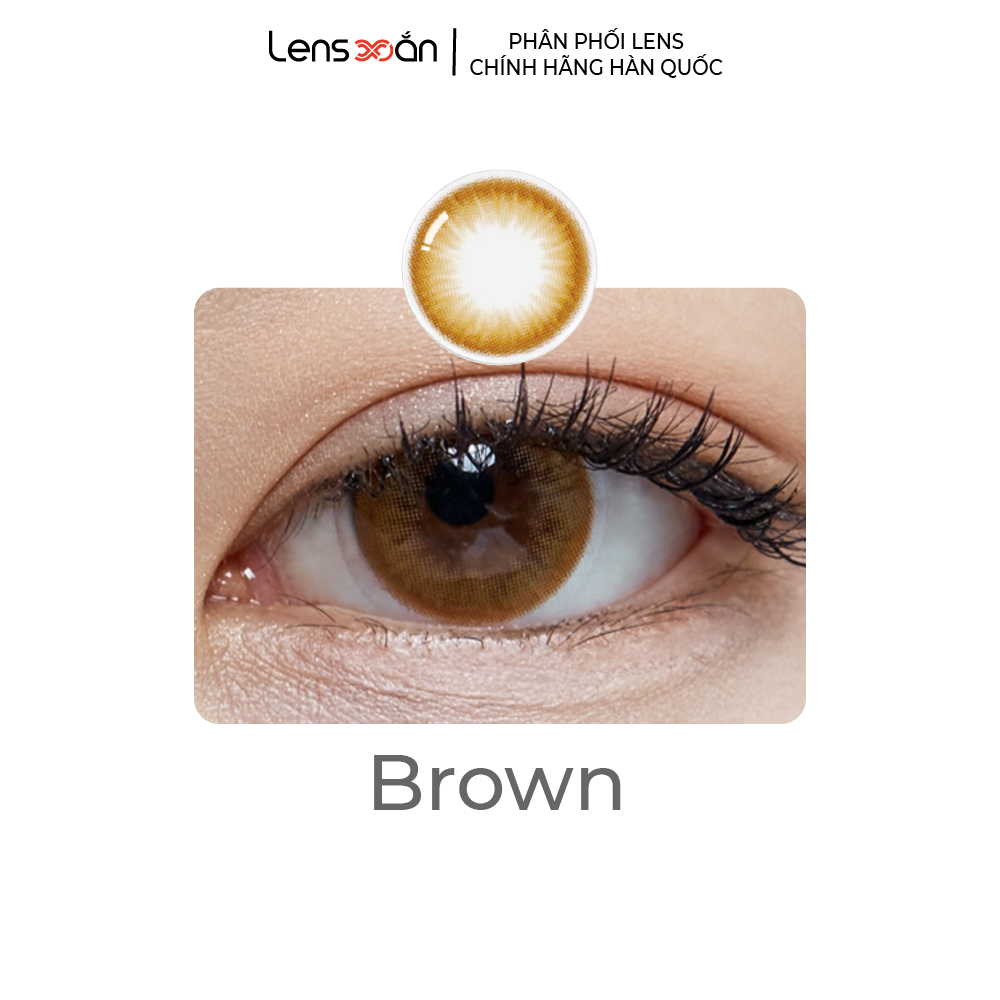 Kính áp tròng cận 6 tháng lens xoắn lens nâu lens xám tự nhiên giãn nhẹ olens polla