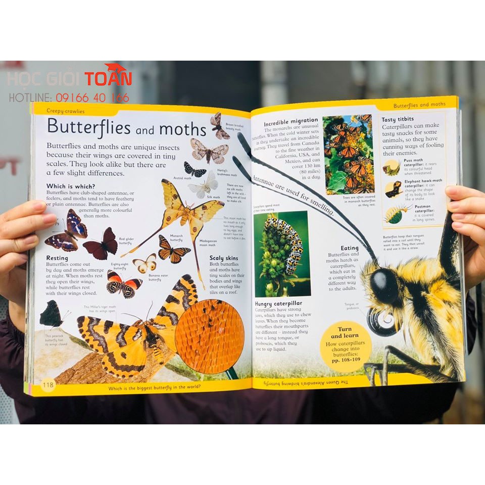 Sách First Animal Encyclopedia - Á Châu Books