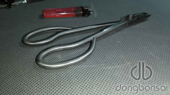 Kéo tỉa Ryuga RS-01