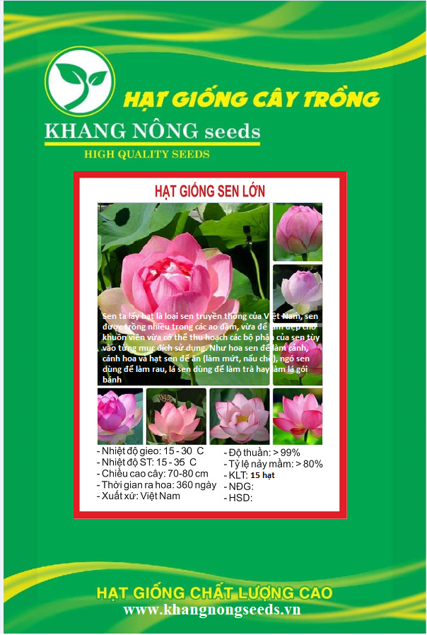 Hạt giống hoa sen lớn mix màu - Gói 15 hạt